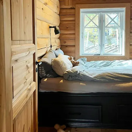 Prázdninový dům Luxury Log By Hardangervidda Uvdal