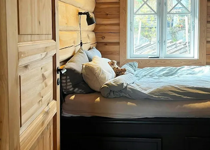 Tatil Evi Luxury Log By Hardangervidda Uvdal